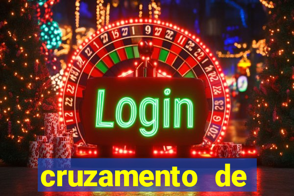 cruzamento de cavalo com mula